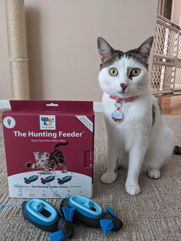 Cat hunter feeder best sale