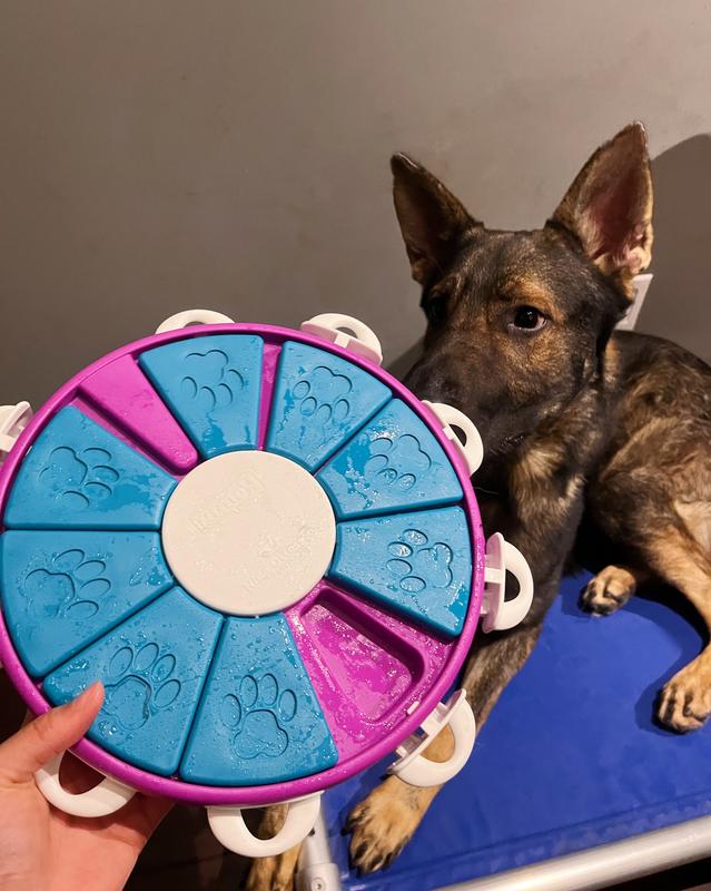 Dog twister puzzle online