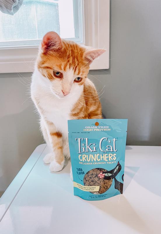Chewy tiki cat sales