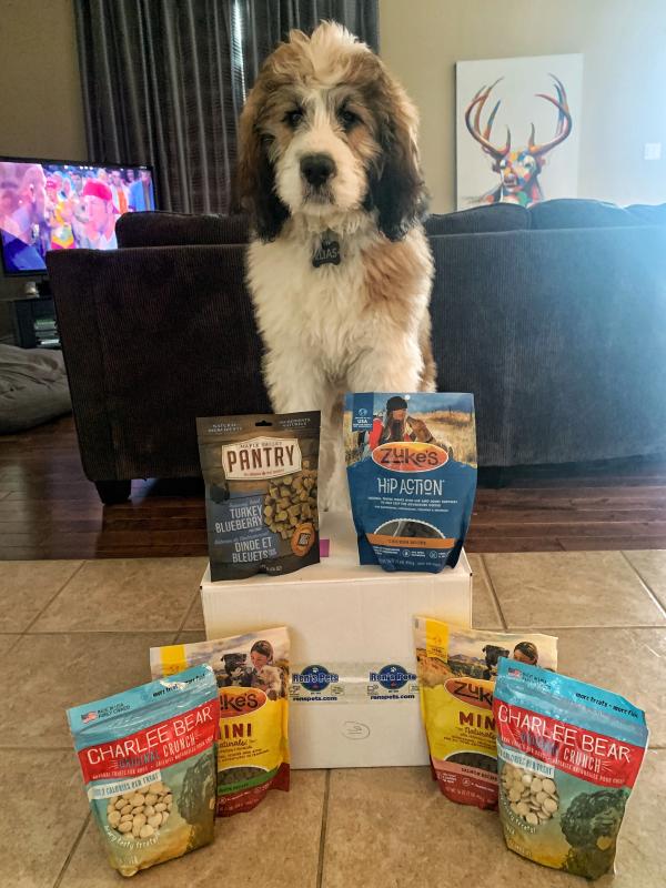 Charlee bear clearance dog treats review