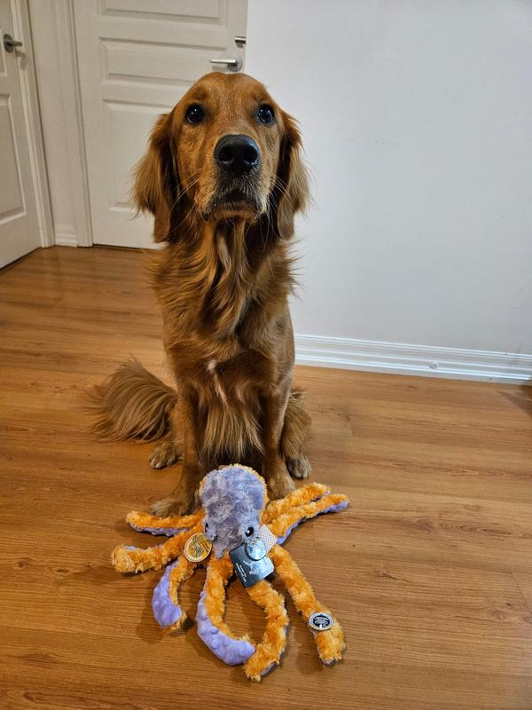 Large Octopus Dog Toys Pet Supplies CoolMouse Octopus Squeaky