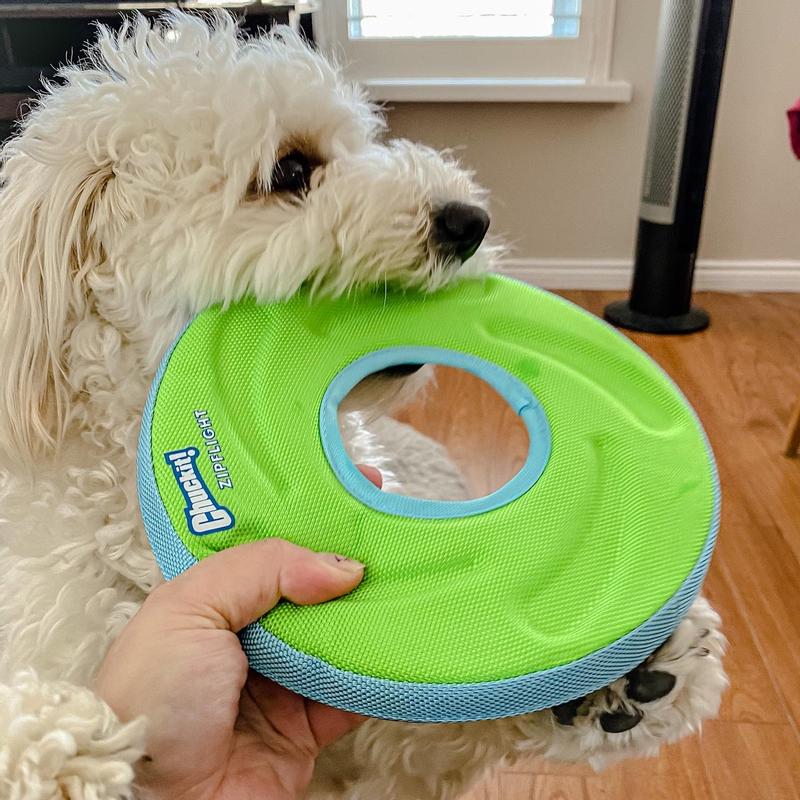 Chuckit frisbee dog toys best sale