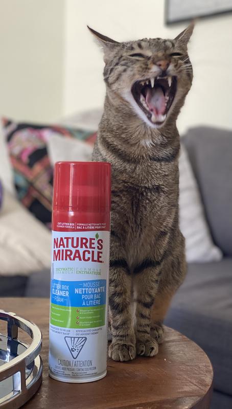 Nature's miracle hotsell litter reviews