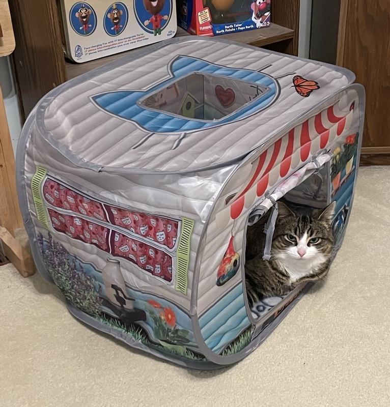 Kong shop cat house