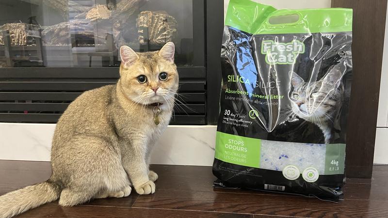 Fresh start silica cat litter best sale