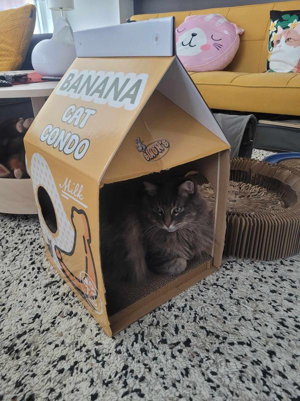 Simons Banana Milkbox Condo Ren s Pets