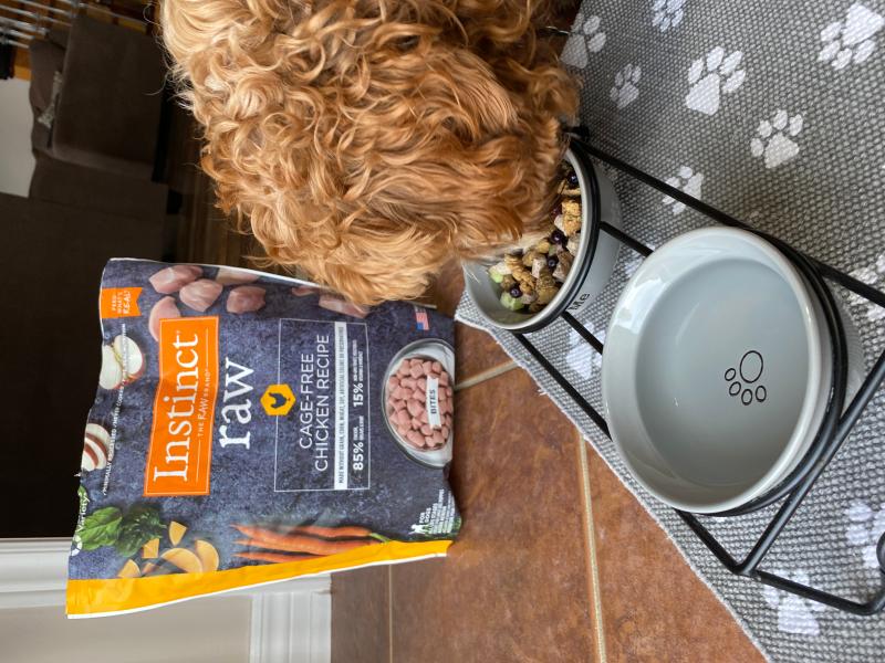 Instinct raw boost mixers review sales