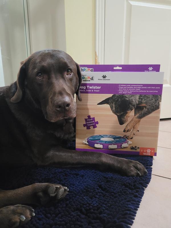 Outward hound dog twister online