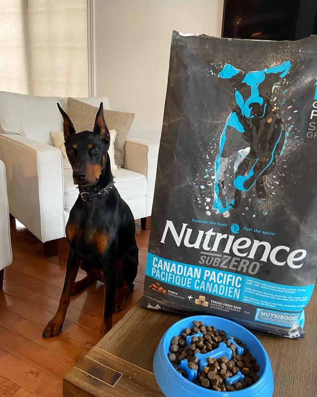 Nutrience grain free dog clearance food