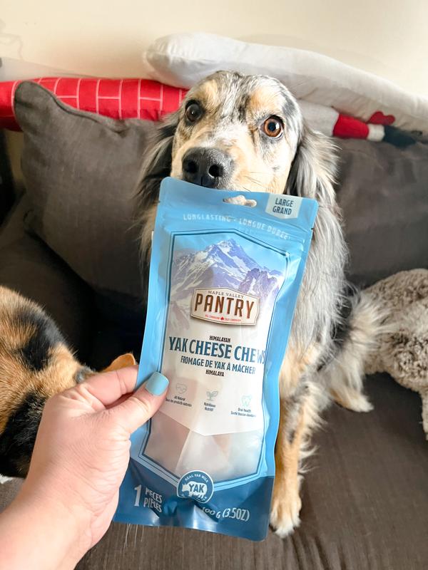 Maple Valley Pantry Himalayan Dog Chews Ren s Pets