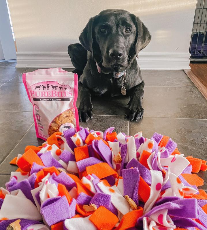 Snuffle Mat + Free Salmon Training Treats | Pupford