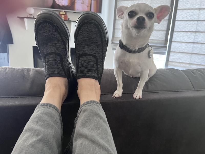 Photo from chihuahuamom