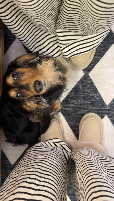 Review Thumbnail Image 2 299901419