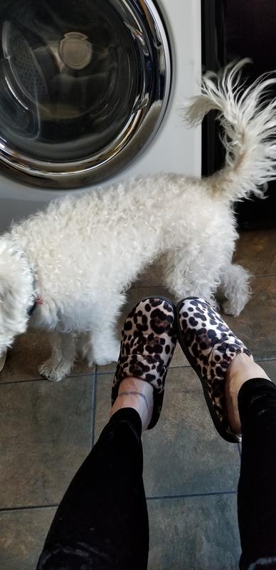 My wild thang slippers!