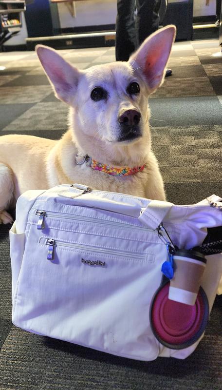 Customer photo for "Love this bag. Highly recommend!"