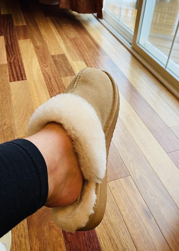 women's sydney water resistant genuine shearling scuff slipper