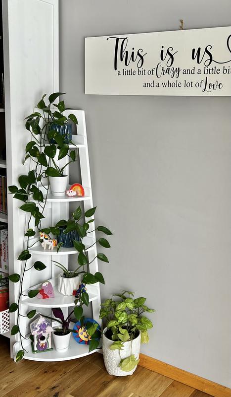 Perfect Ladder for plants