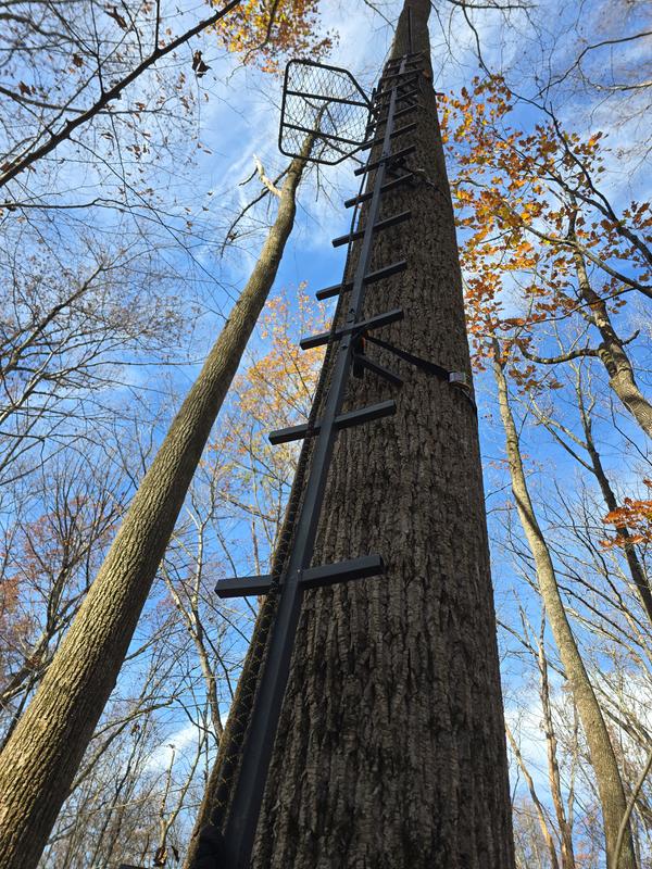 Bigfoot stand and 20' ladder