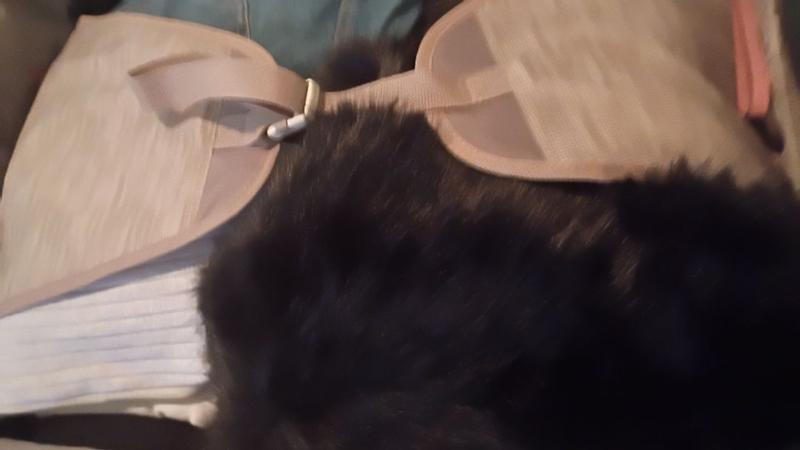 Customer carousel item 4.