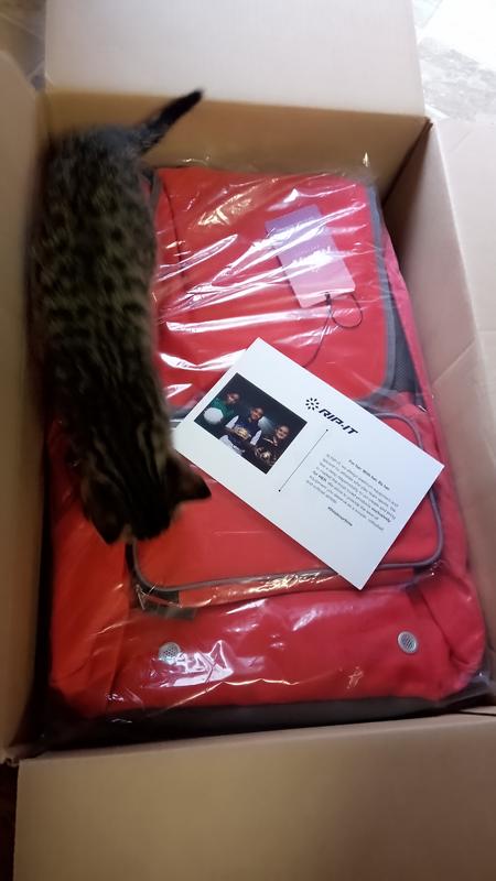 Photo submitted with review of product