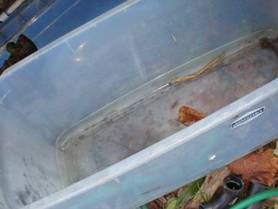 brittle broken "unbreakable " grey water storage tank