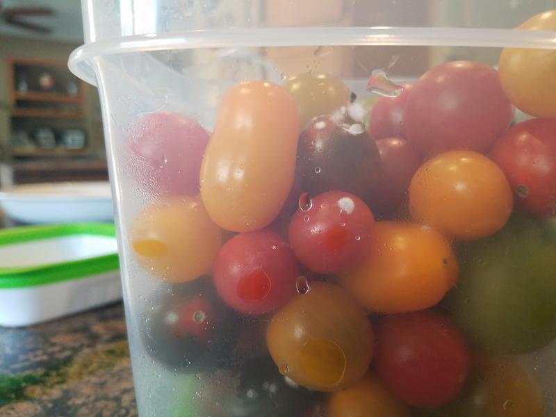 Water, These were NOT washed.  Mold and condensation on day two.