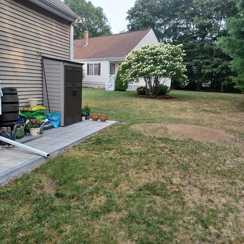 Shed against the wall, secured to floor before the windstorm
