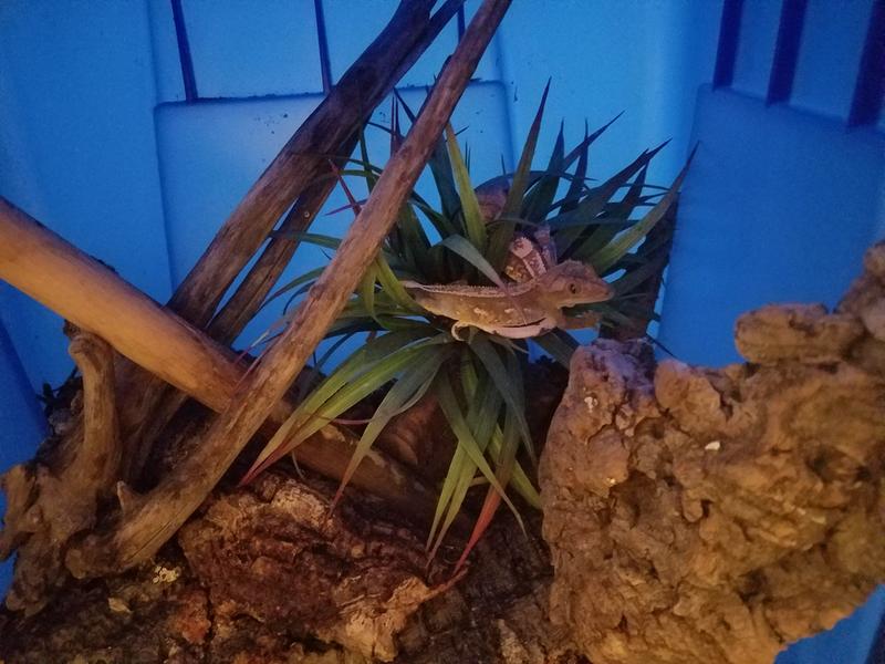 Photo - commentaire&nbsp;3.