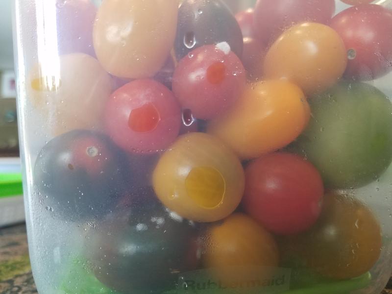 You can see the water condensation as well as mold.