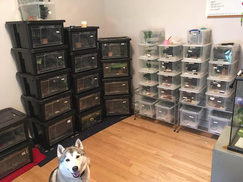 Photo - commentaire&nbsp;2.