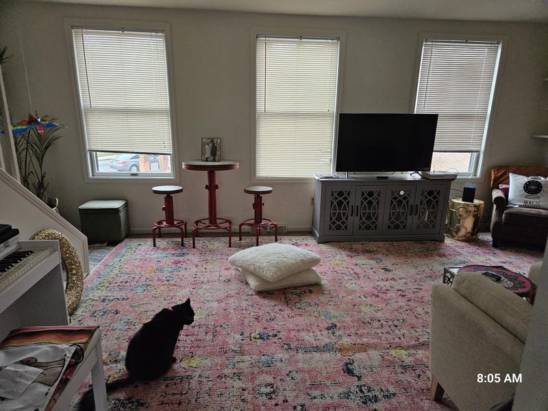 purple sofa coming soon Jahwilling to cap it all off.   this rug replaced a 100% hemp rug which now i know, my cats werent fond of. we love this rug. it's so soft& perfect4 covering up my rentals wall2wall. i couldnt be more pleased. juan my cat ❤️ s it 2