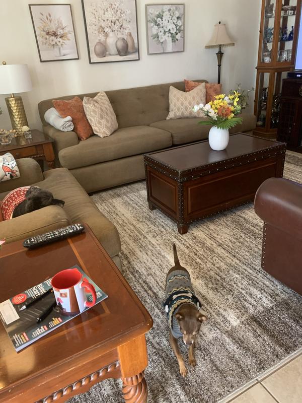 Lucy likes my new rug!