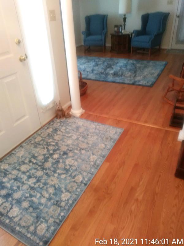 Perfect match for entrance and living room rugs.