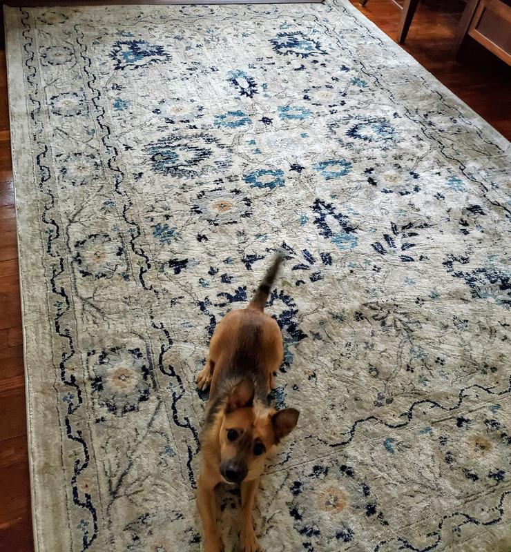 Letting creases flatten out