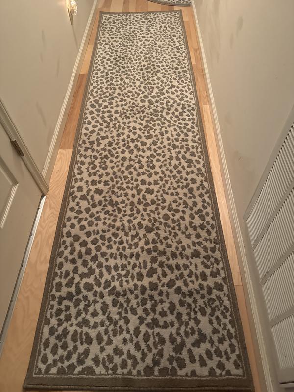 2' x 3' Savannah Rug