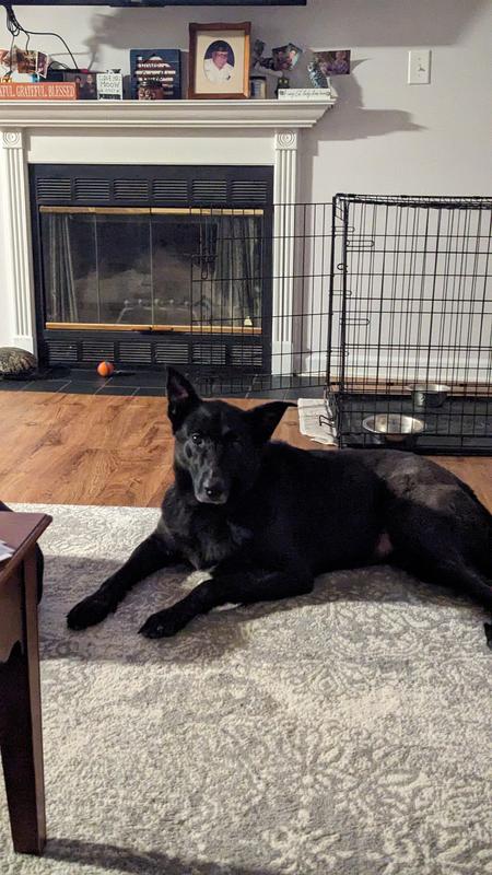 Yellowed lightened portion