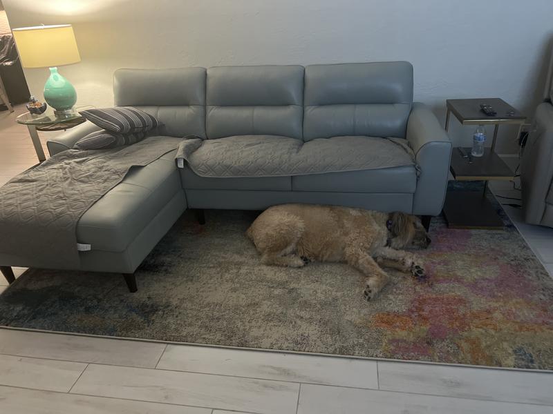 Photo from Living room