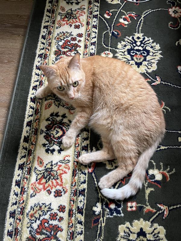 Photo from Mylo