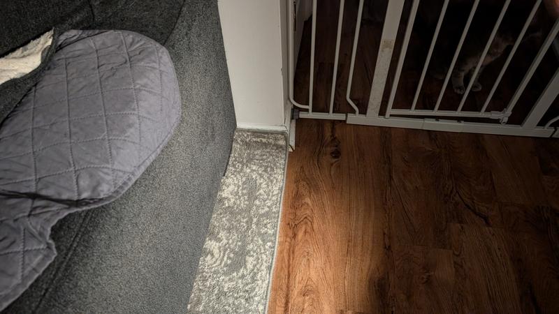 Carpet going up baseboard (1st purchase)