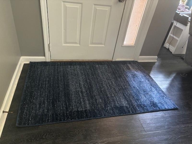 3' 3 x 5' 3 Angelica Rug at my front door