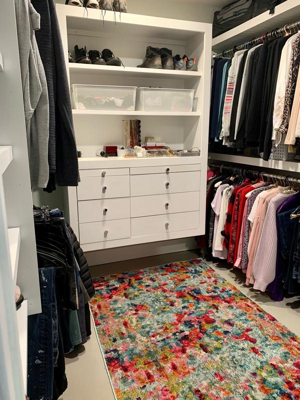 Theia 4 x 6 rug in walk in closet/dressing room