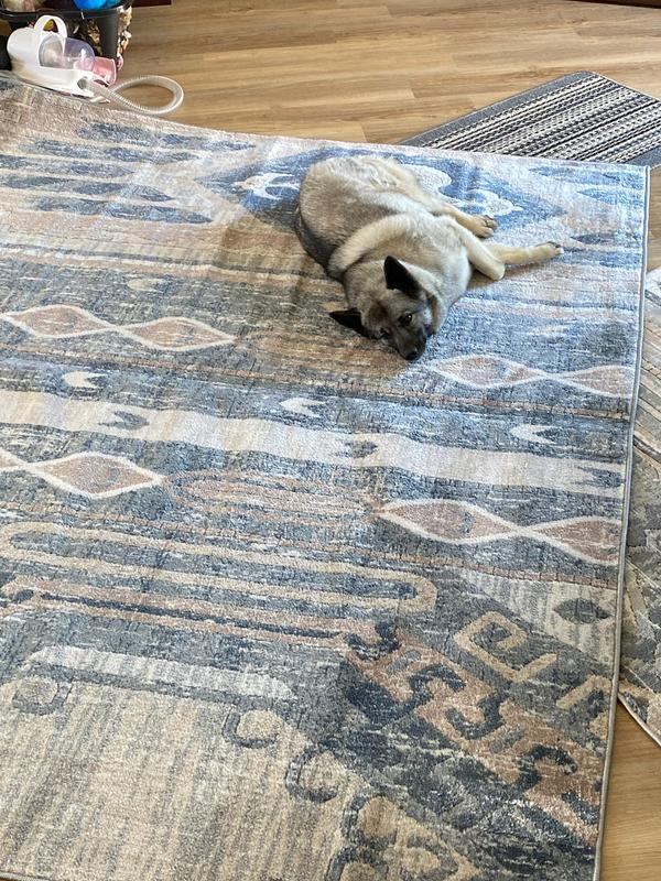 The dog loves it the most!