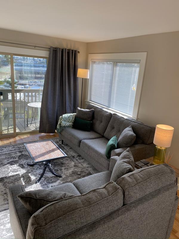 View of the rug in the living room area