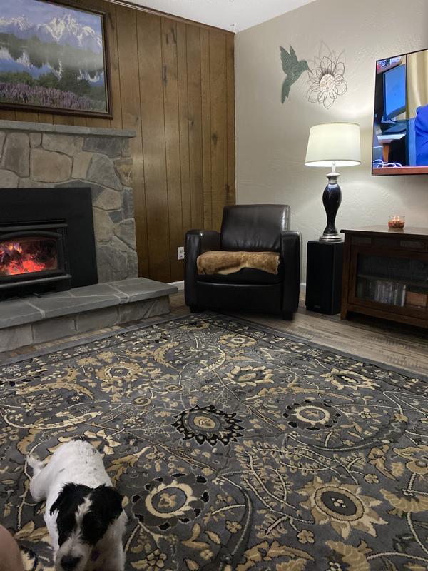 Comfortable and cozy