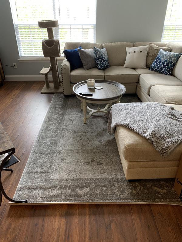 7' x 10' in living room