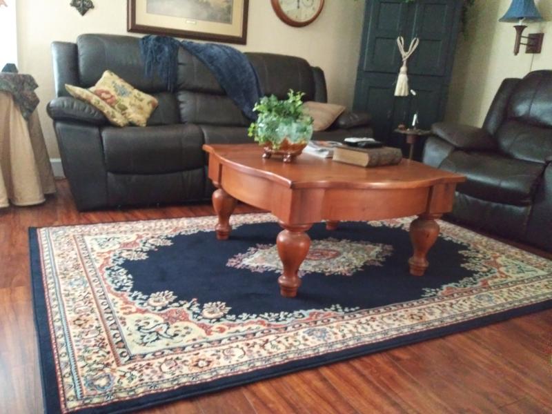 10' x 14' Amaya Rug