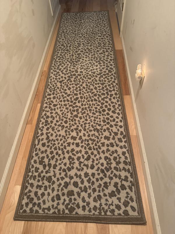 2' x 3' Savannah Rug