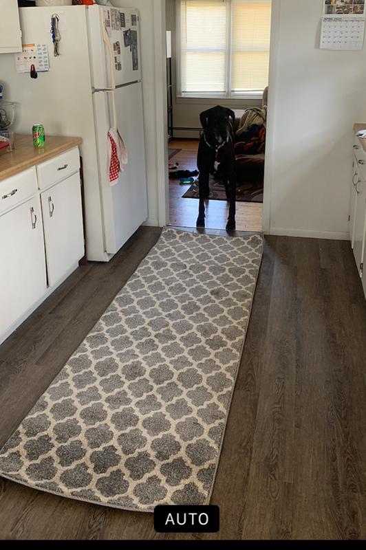 Photo from Dog Mom