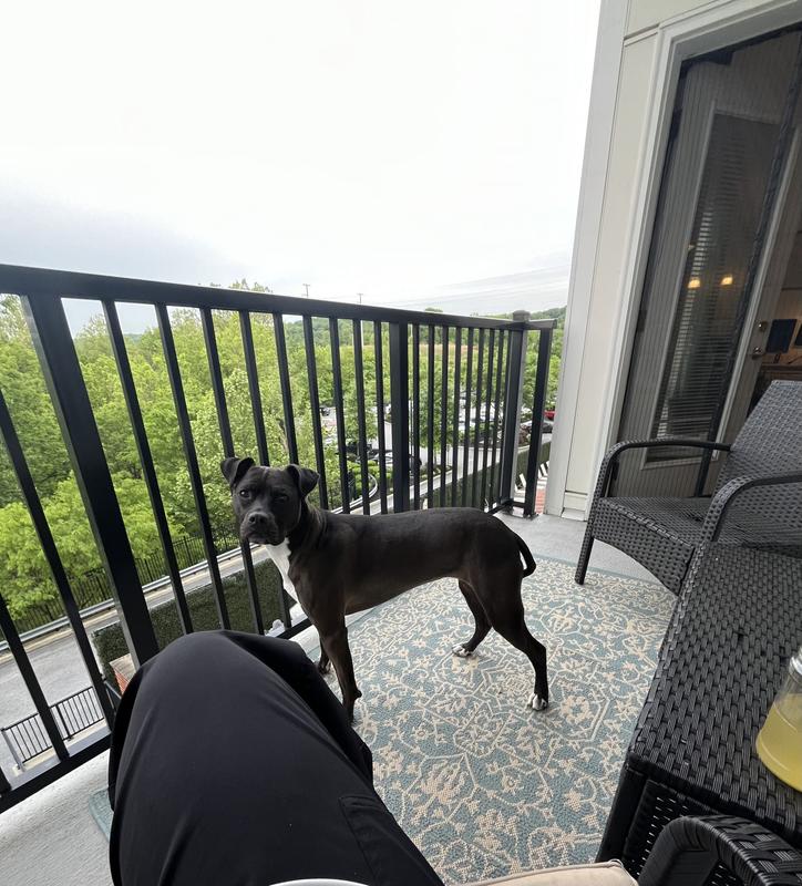 Brings life to my balcony