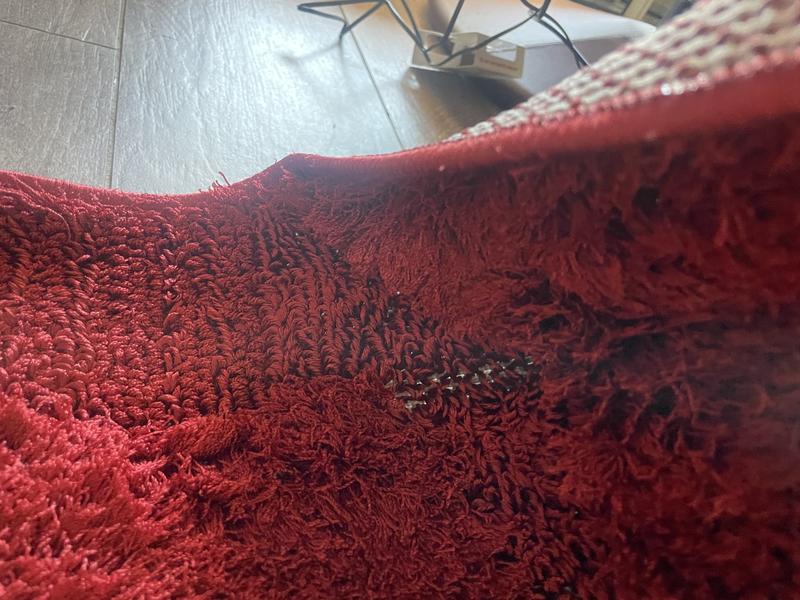 8' x 10' Botanical Shag Rug